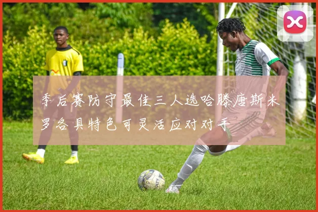季后赛防守最佳三人选哈滕唐斯米罗各具特色可灵活应对对手
