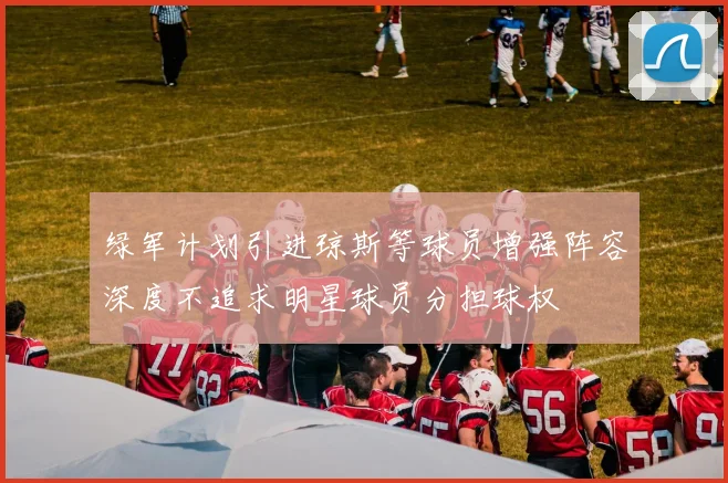 绿军计划引进琼斯等球员增强阵容深度不追求明星球员分担球权