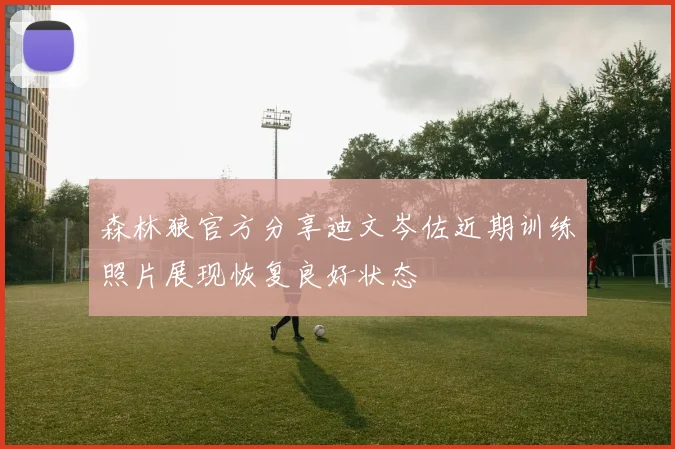 森林狼官方分享迪文岑佐近期训练照片展现恢复良好状态